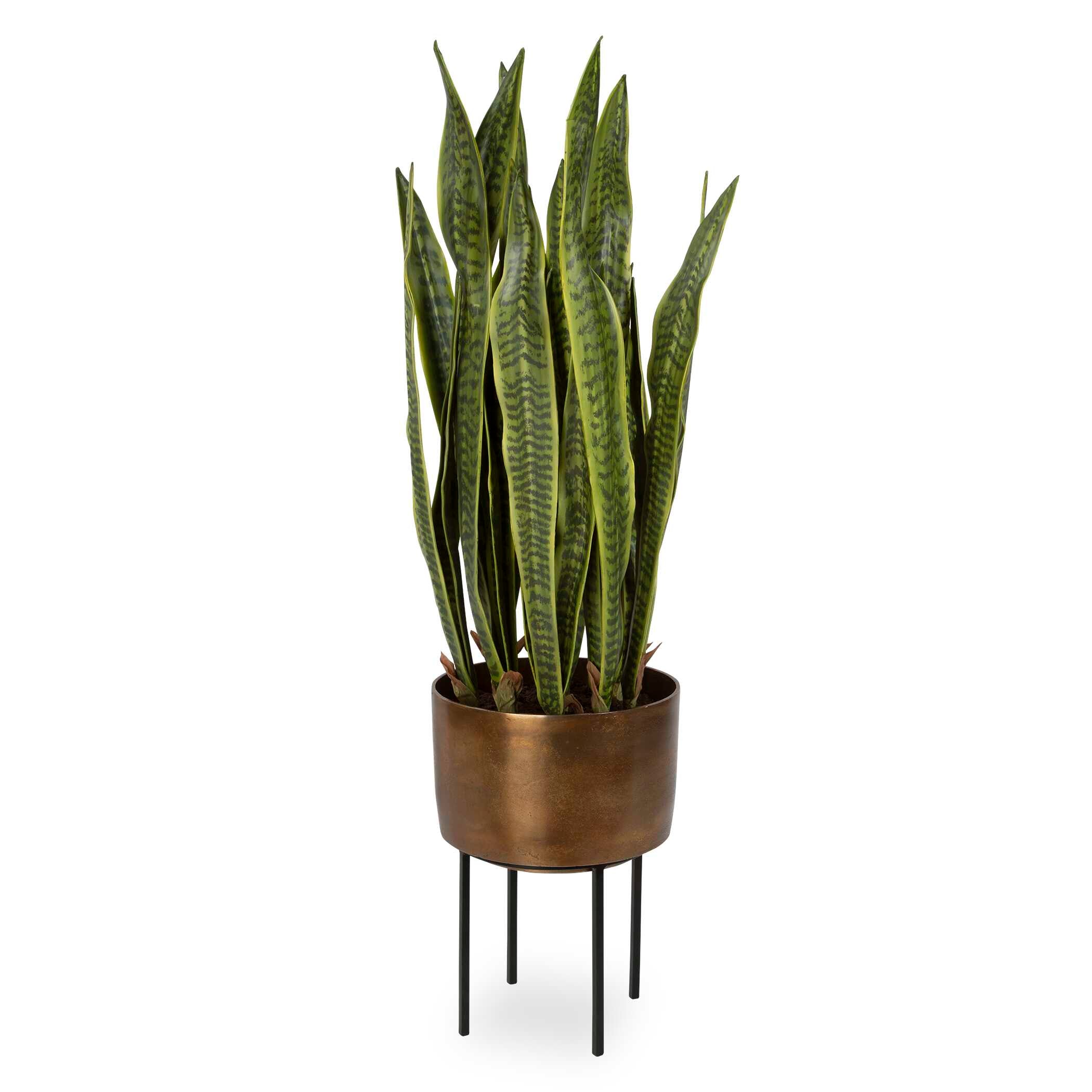 Fasita Brass Planter 2 Cartons