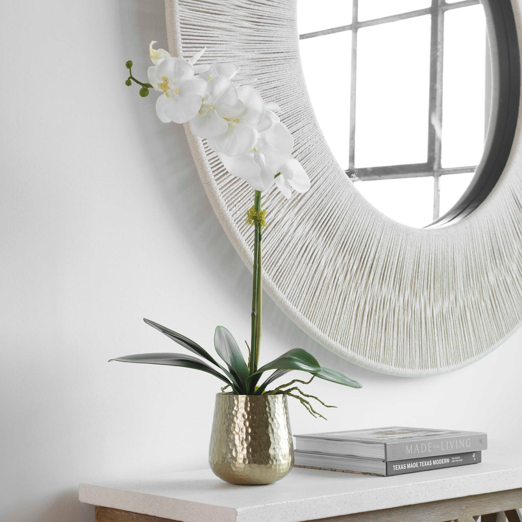 Cami Orchid With Brass Pot