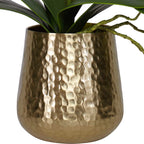Cami Orchid With Brass Pot