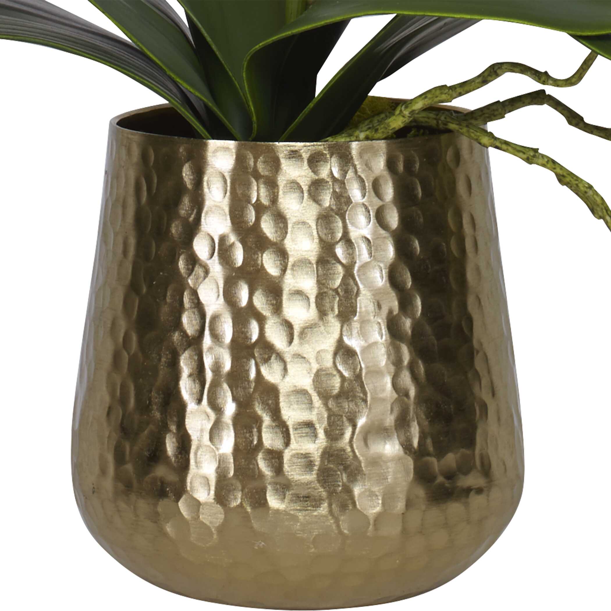 Cami Orchid With Brass Pot