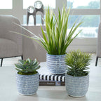 Puebla Greenery In Blue & White Pots Set/3