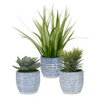 Puebla Greenery In Blue & White Pots Set/3