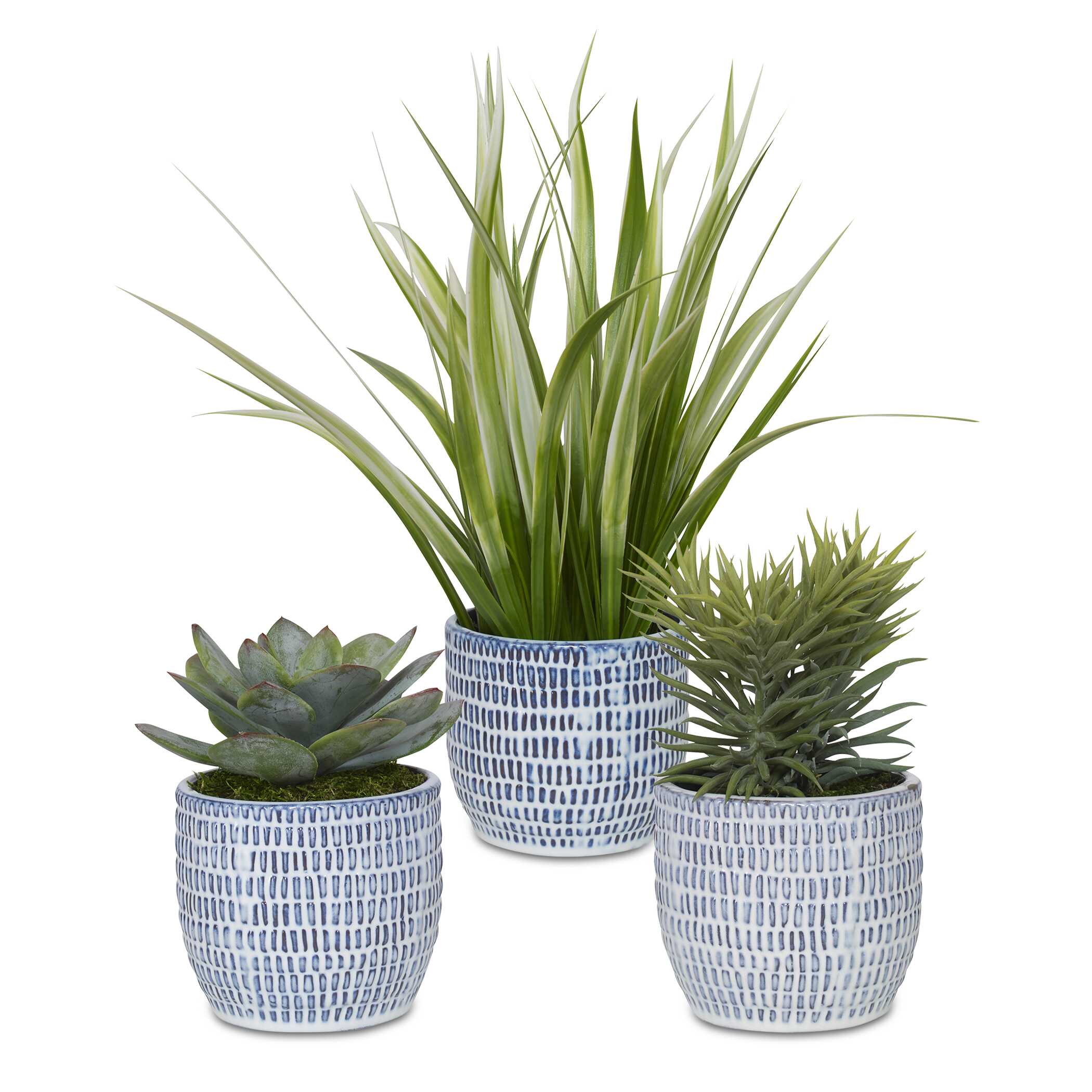 Puebla Greenery In Blue & White Pots Set/3