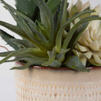 Seaside Succulents Set/2