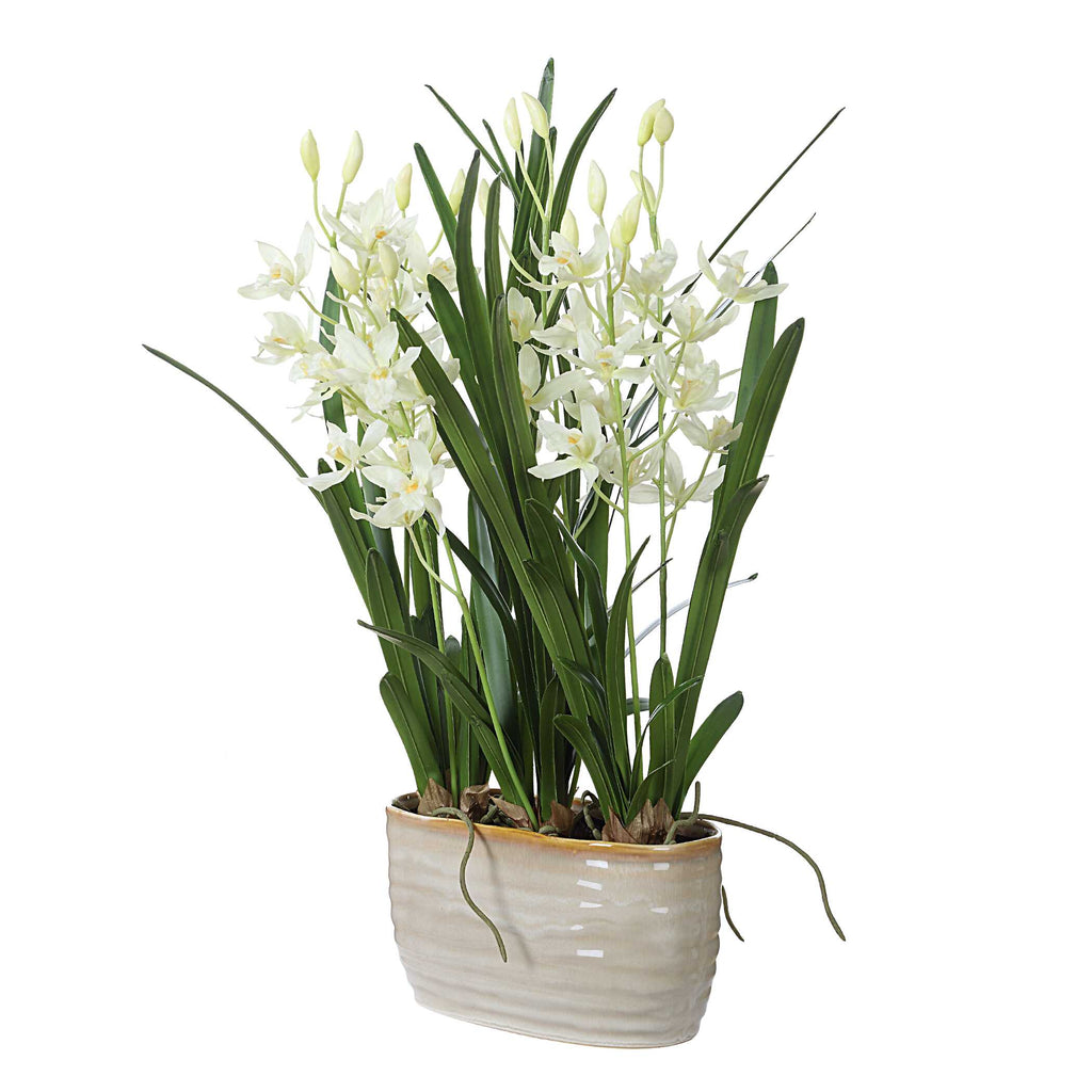 Ariana Orchid Planter