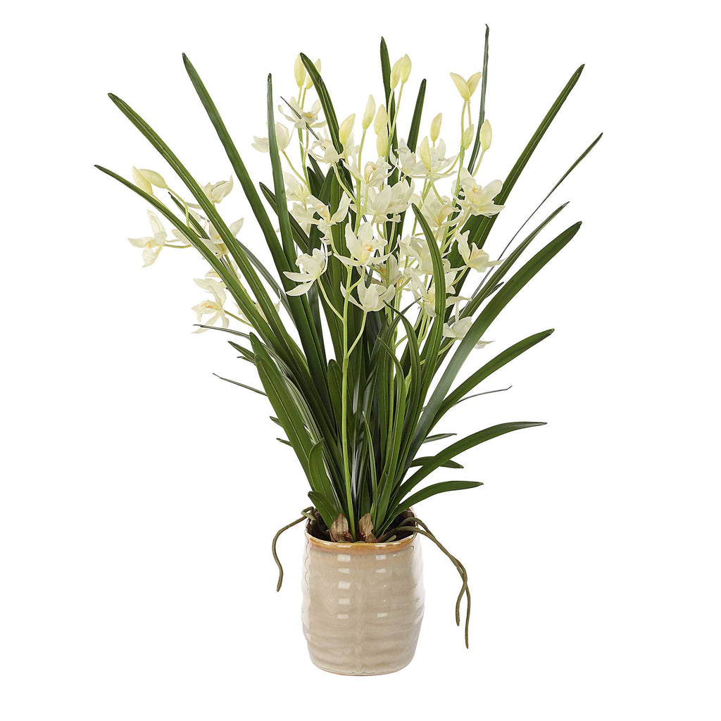 Ariana Orchid Planter