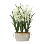 Ariana Orchid Planter