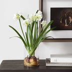 Lacey Daffodil Accent Arrangement