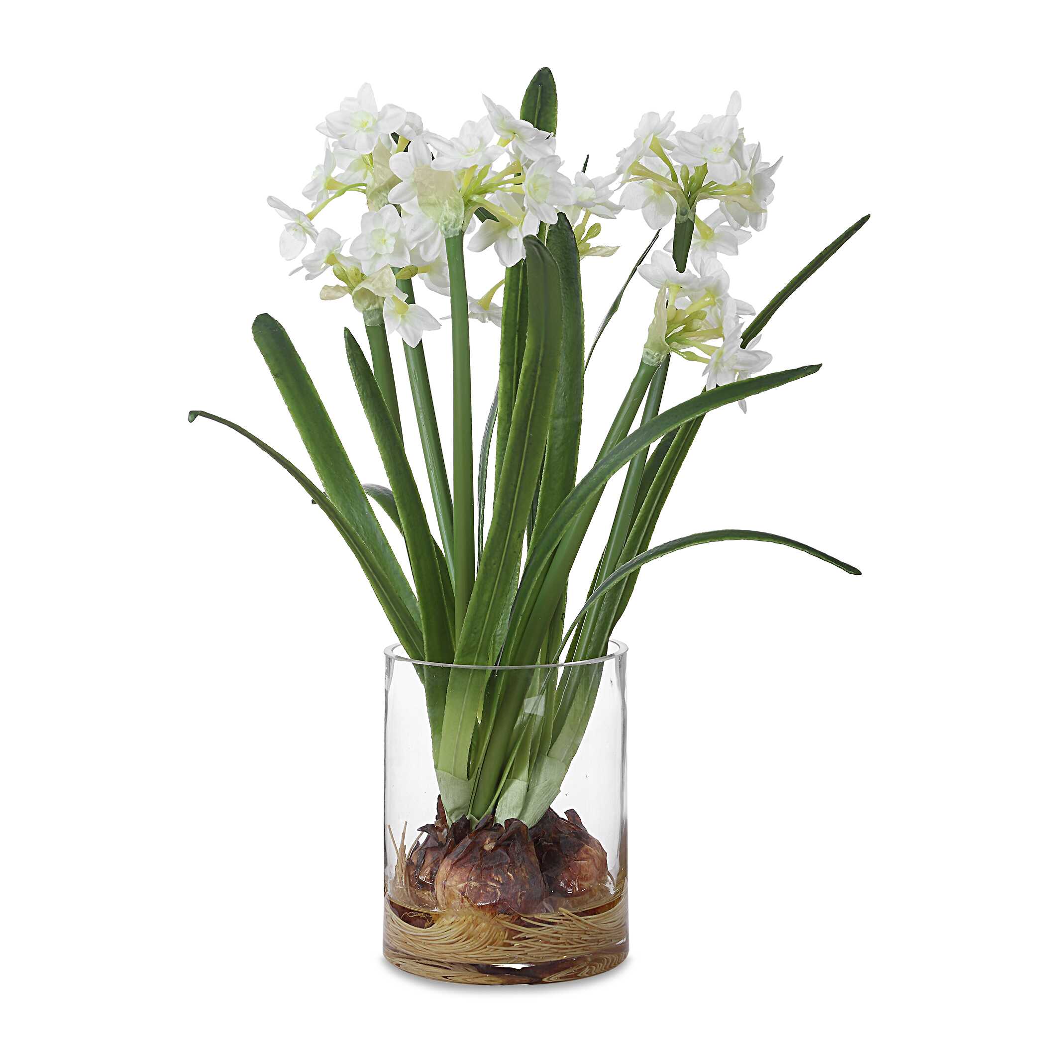 Lacey Daffodil Accent Arrangement