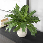 Verdure Fern In Glazed Pot