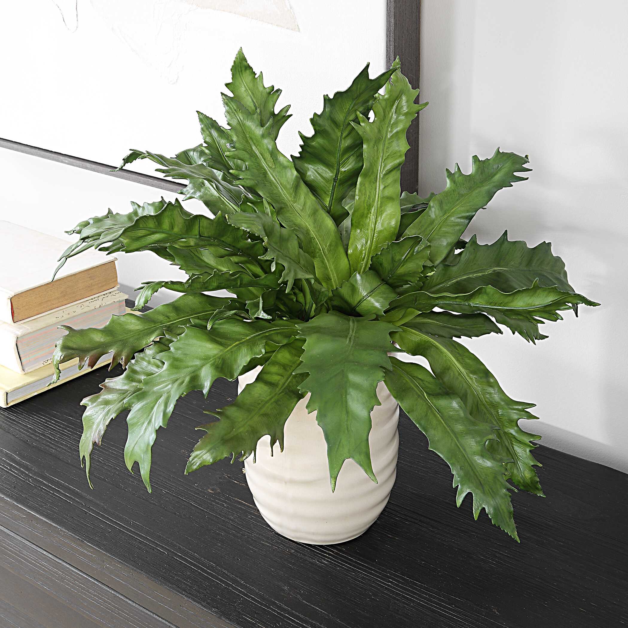 Verdure Fern In Glazed Pot