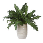 Verdure Fern In Glazed Pot
