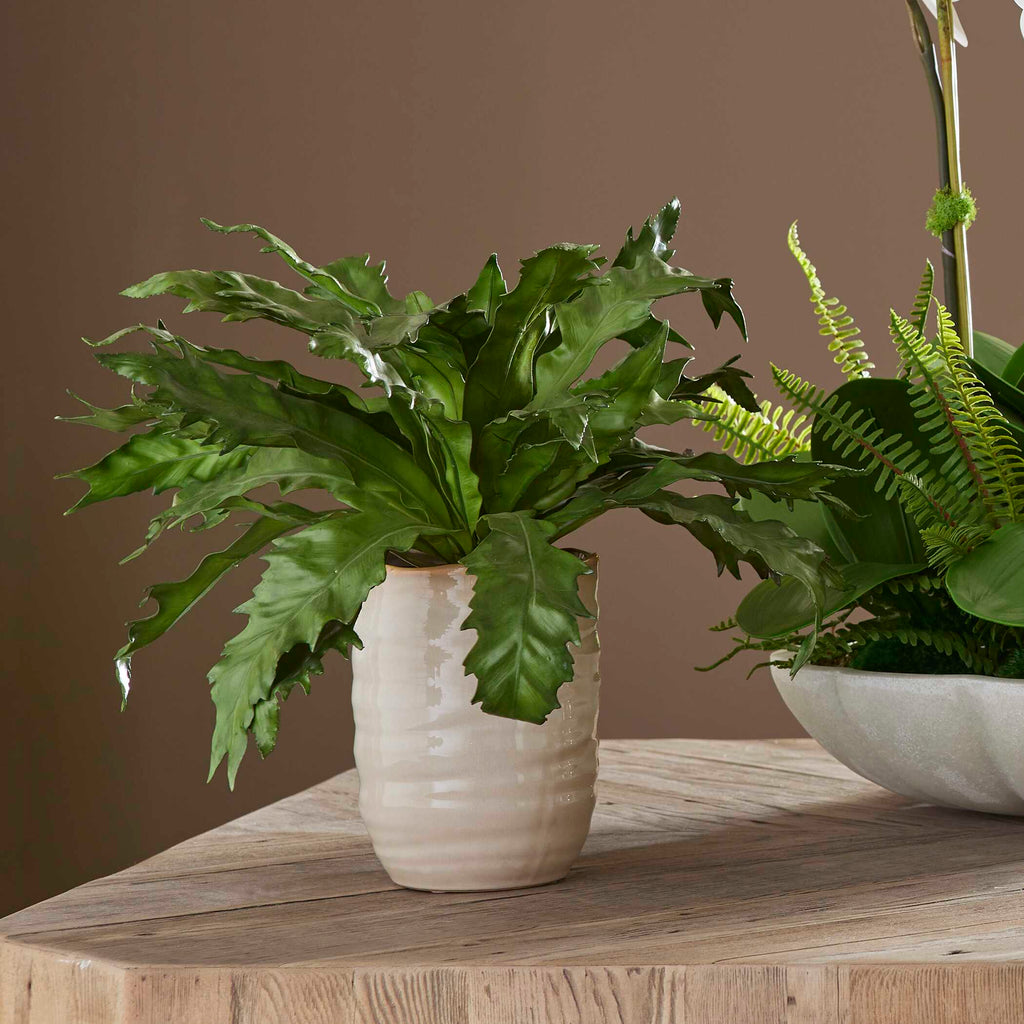 Verdure Fern In Glazed Pot