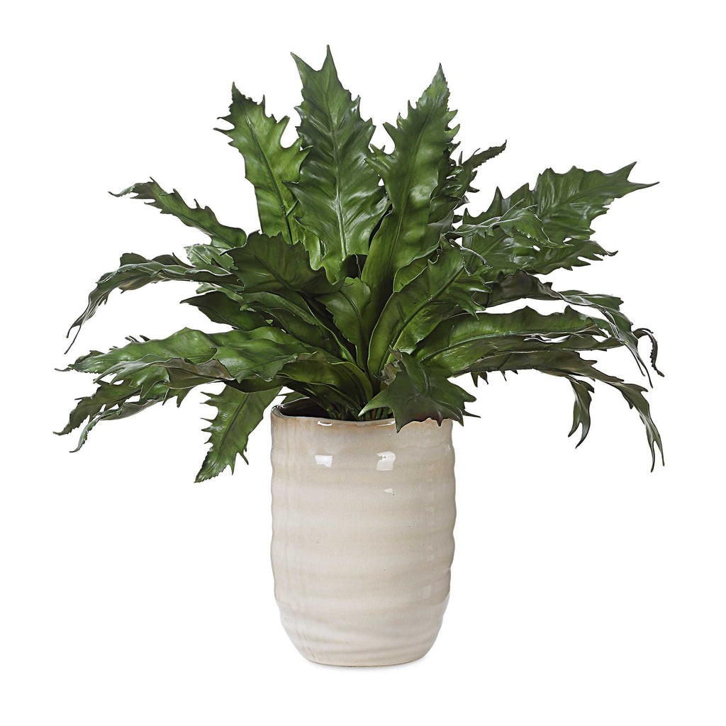 Verdure Fern In Glazed Pot
