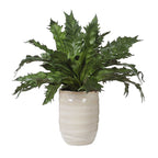 Verdure Fern In Glazed Pot