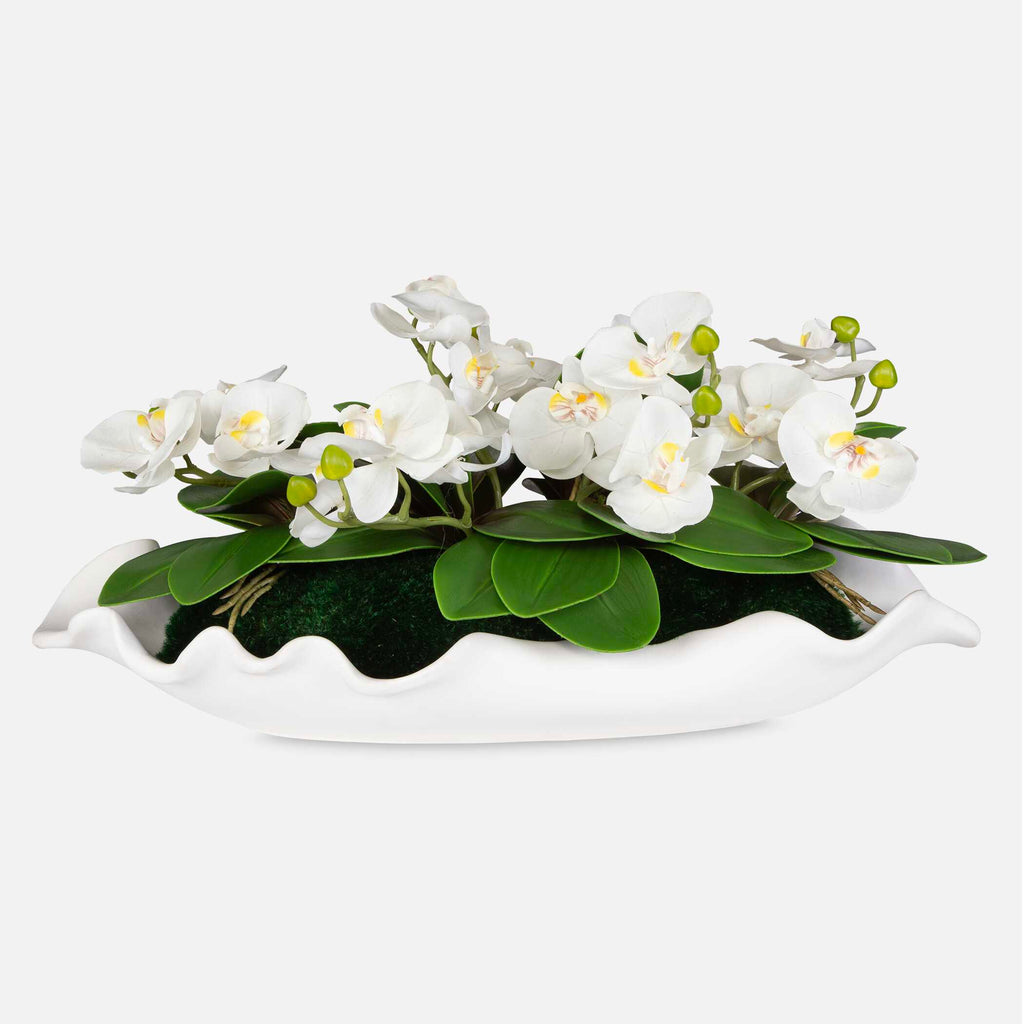 Opulence Orchid Centerpiece With Bowl