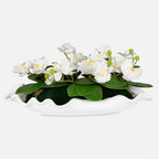 Opulence Orchid Centerpiece With Bowl