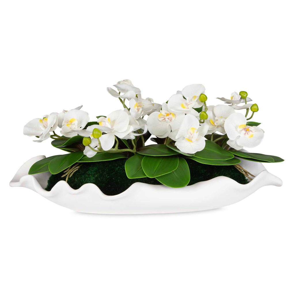 Opulence Orchid Centerpiece With Bowl