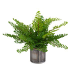 Maidenhair Fern In Oxidized Container