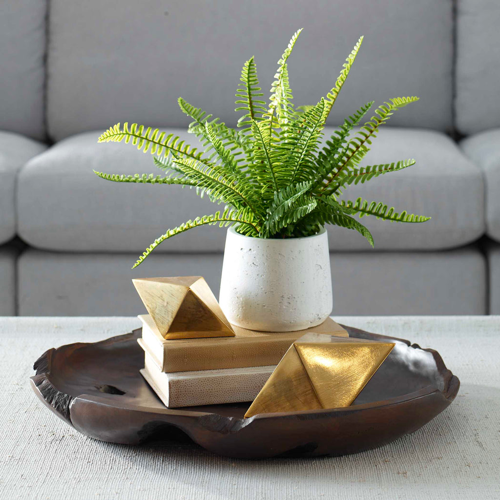 Boston Fern In White Ceramic Pot