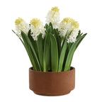 Sincerity Potted Hyacinth Plant