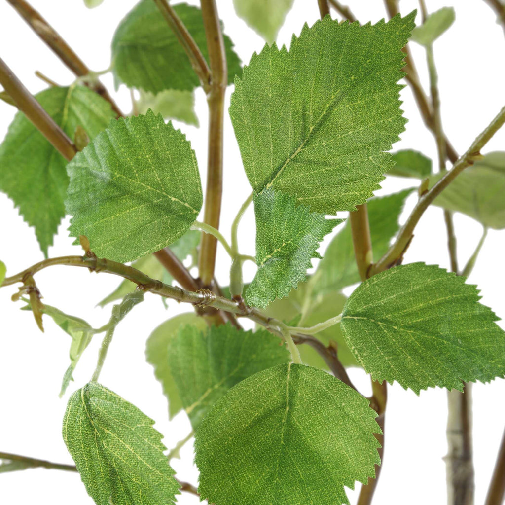 Nigra Birch Vase Centerpiece