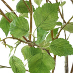 Nigra Birch Vase Centerpiece