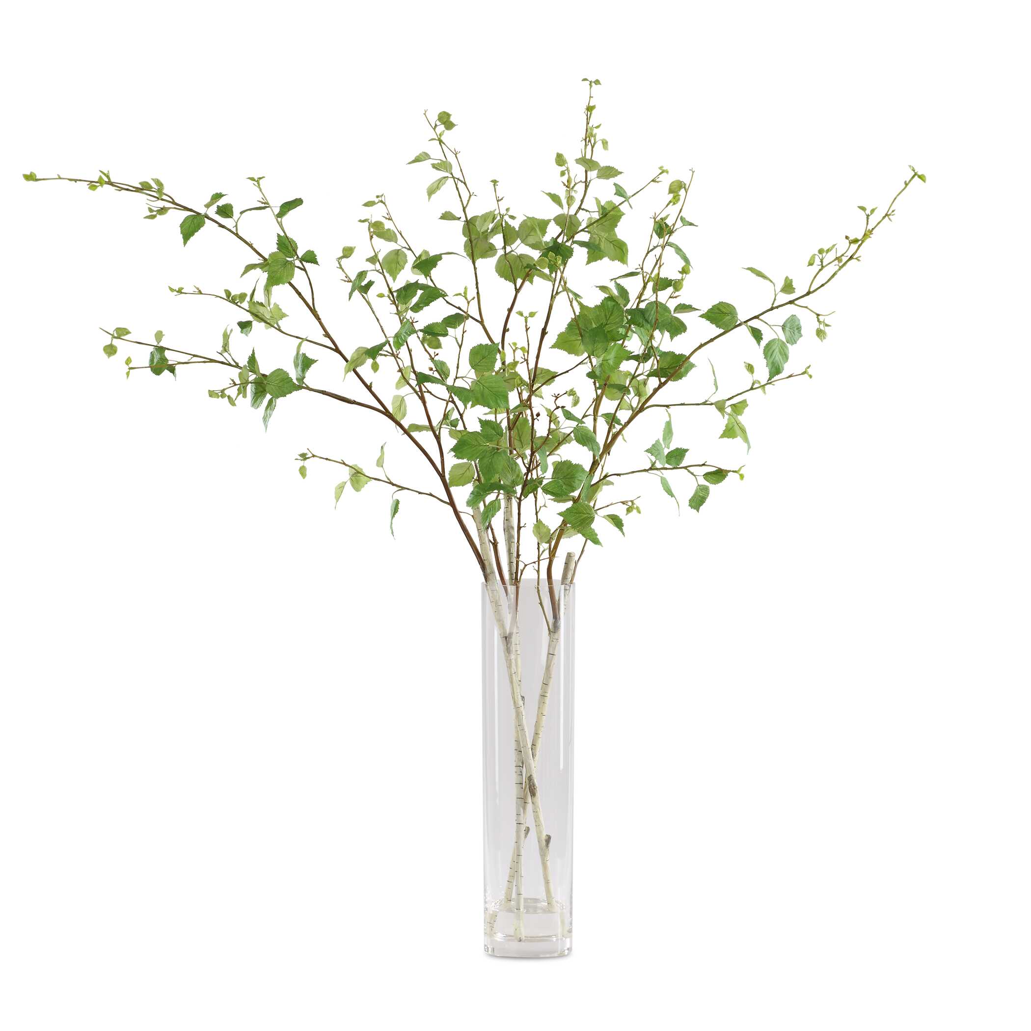 Nigra Birch Vase Centerpiece
