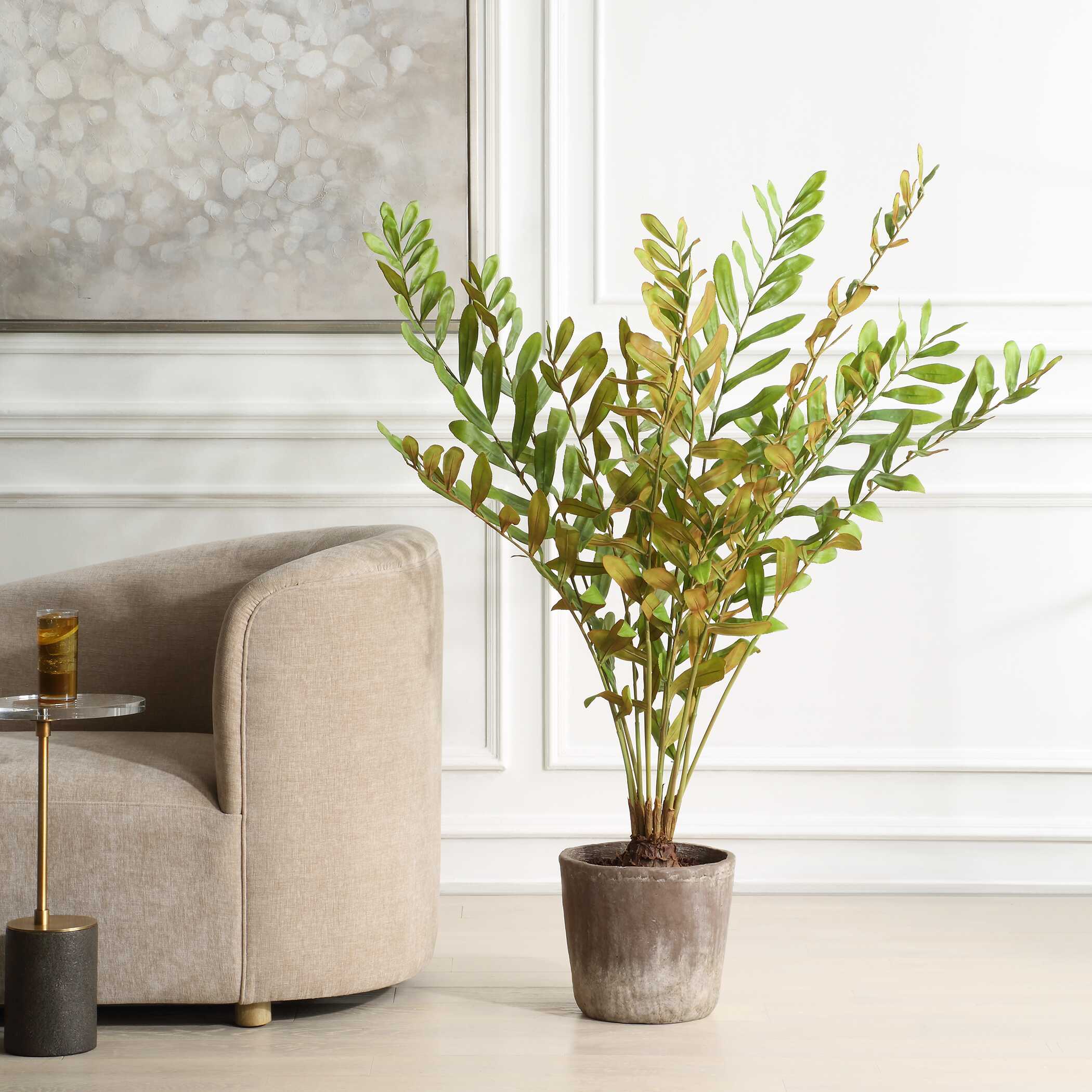 Zamia Palm Accent In Planter
