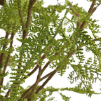 Woodland Fern Centerpiece