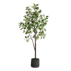 Eden Potted Fig Tree