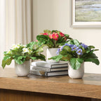 Trilogy Primrose Accents In Vases Set/3