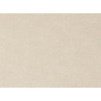 Delaney Dining Chair Warm Beige-Set of Two