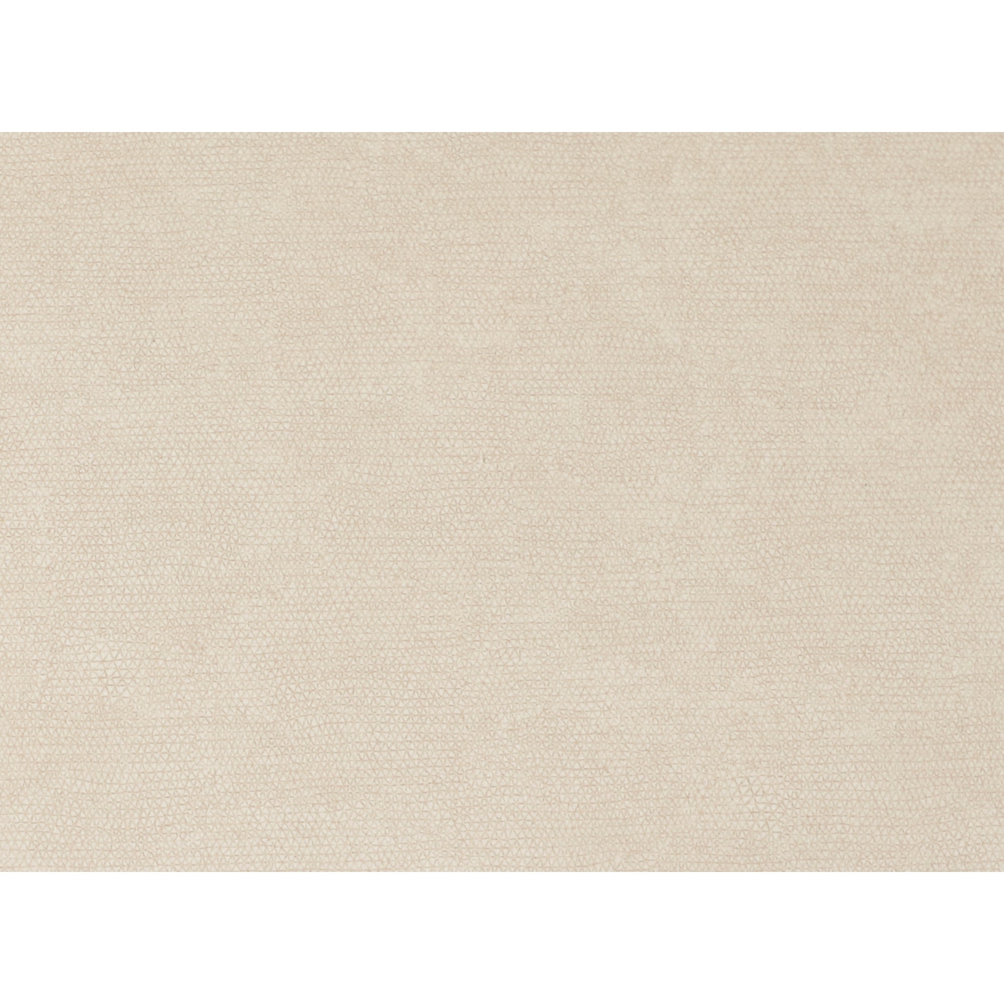 Delaney Dining Chair Warm Beige-Set of Two