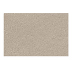 Carlos Dining Chair Taupe