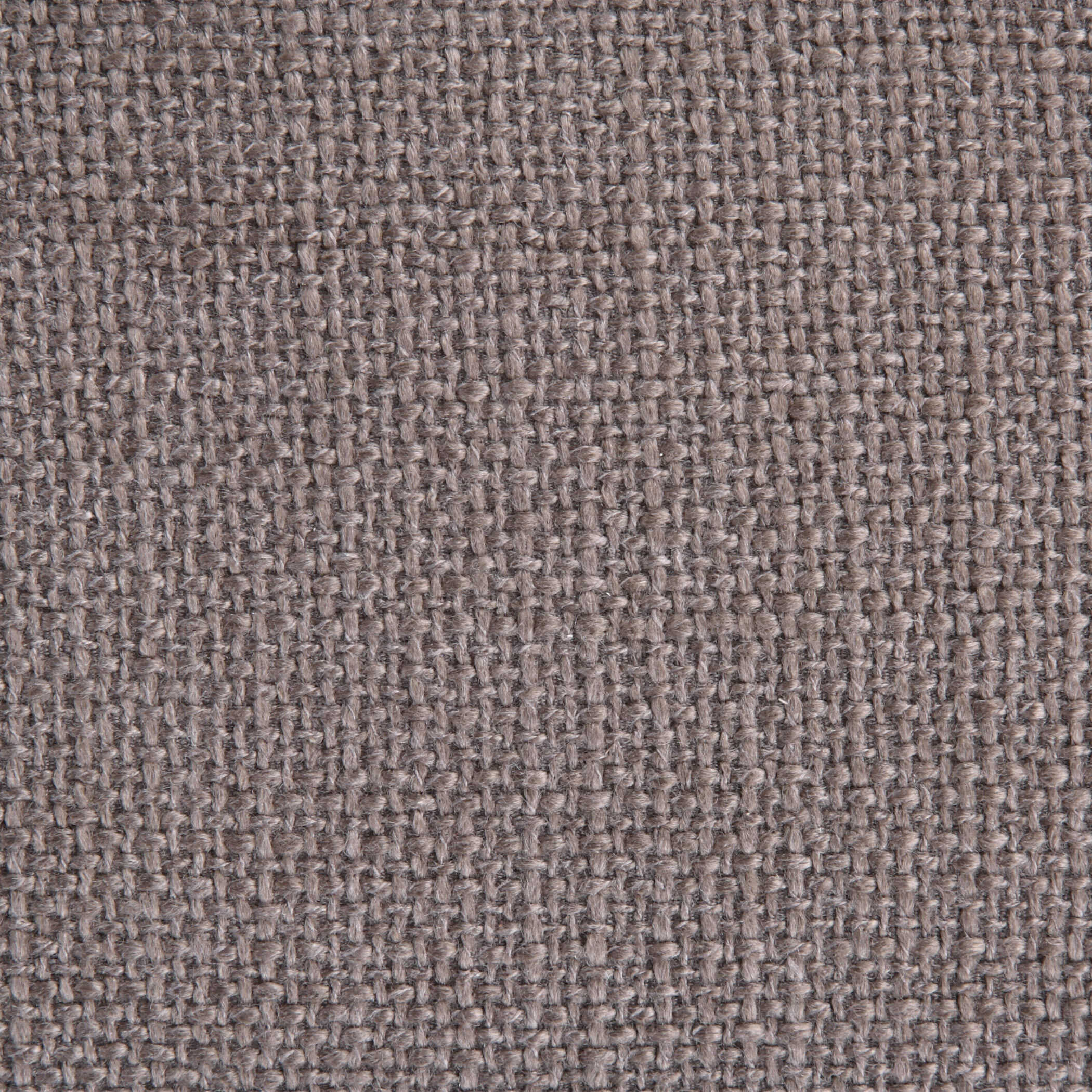 Waylon Mid-Century Modern Bench