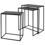 Coreene Iron Nesting Tables Set/3