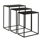 Coreene Iron Nesting Tables Set/3