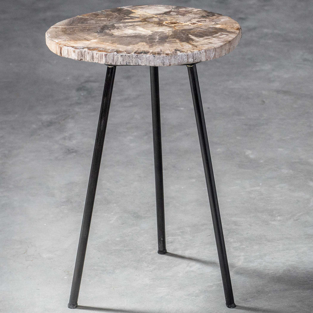 Mircea Petrified Wood Accent Table