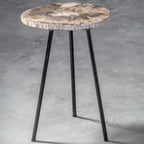 Mircea Petrified Wood Accent Table