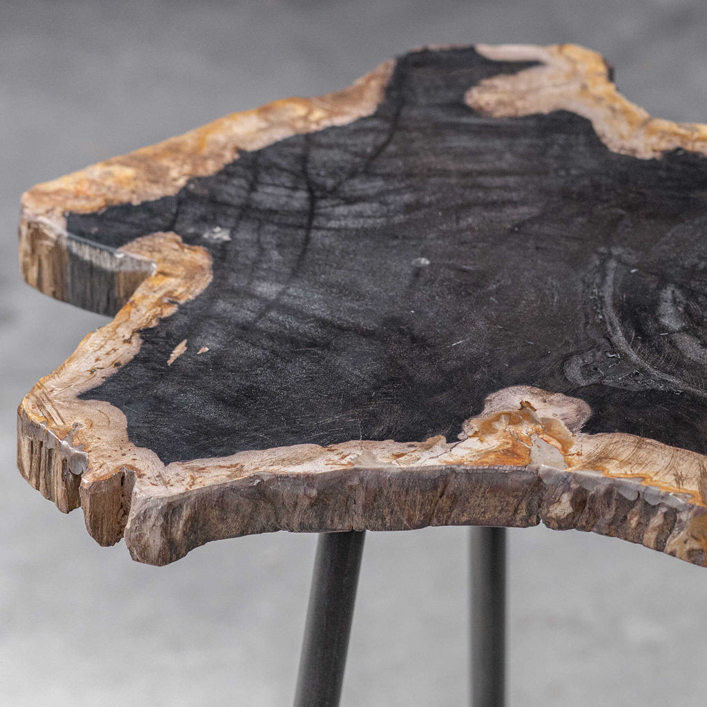 Mircea Petrified Wood Accent Table