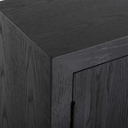 Front Range Dark Oak 2 Door Cabinet
