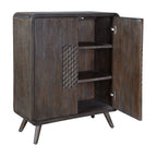 Hausen 2 Door Mid-Century Cabinet