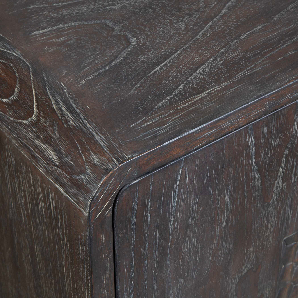 Hausen 2 Door Mid-Century Cabinet