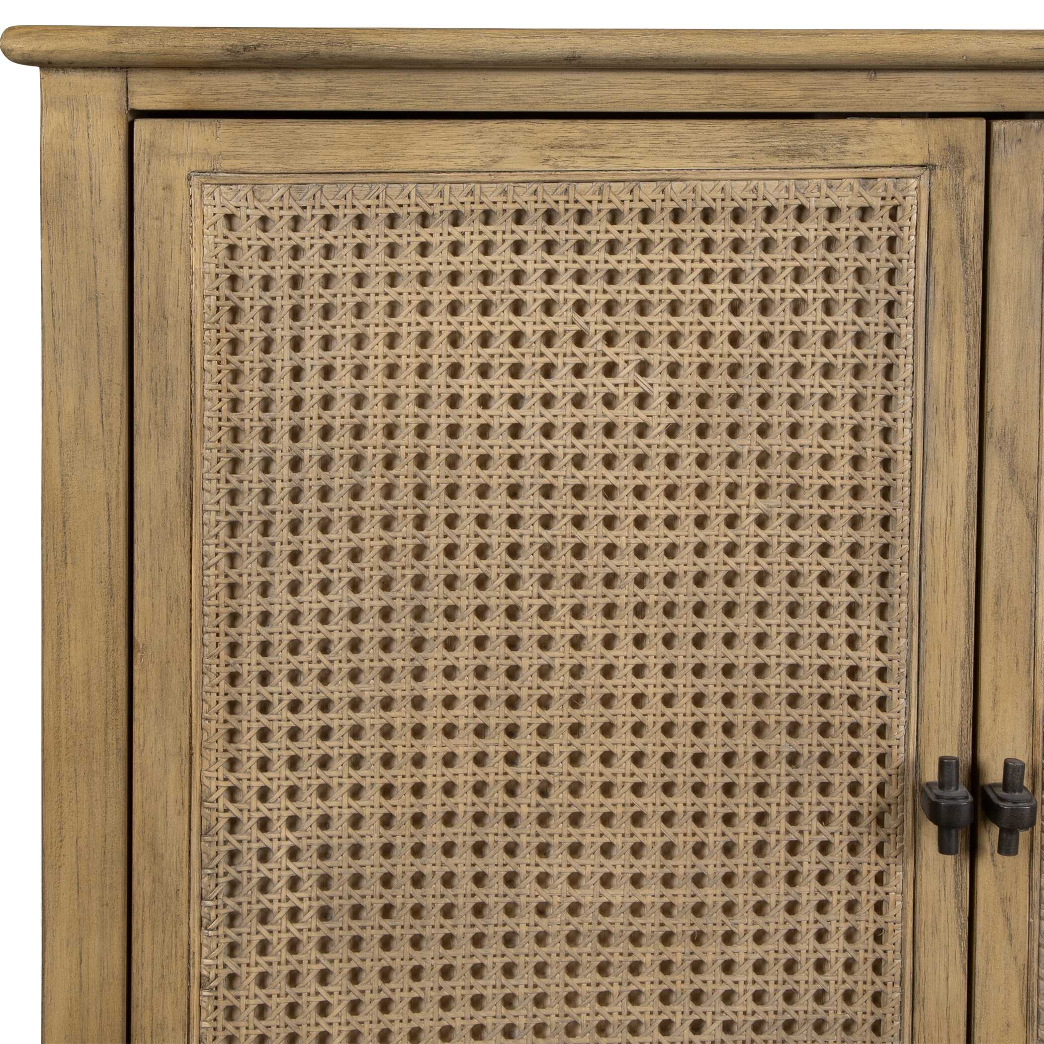Coast 2 Door Rattan Cabinet