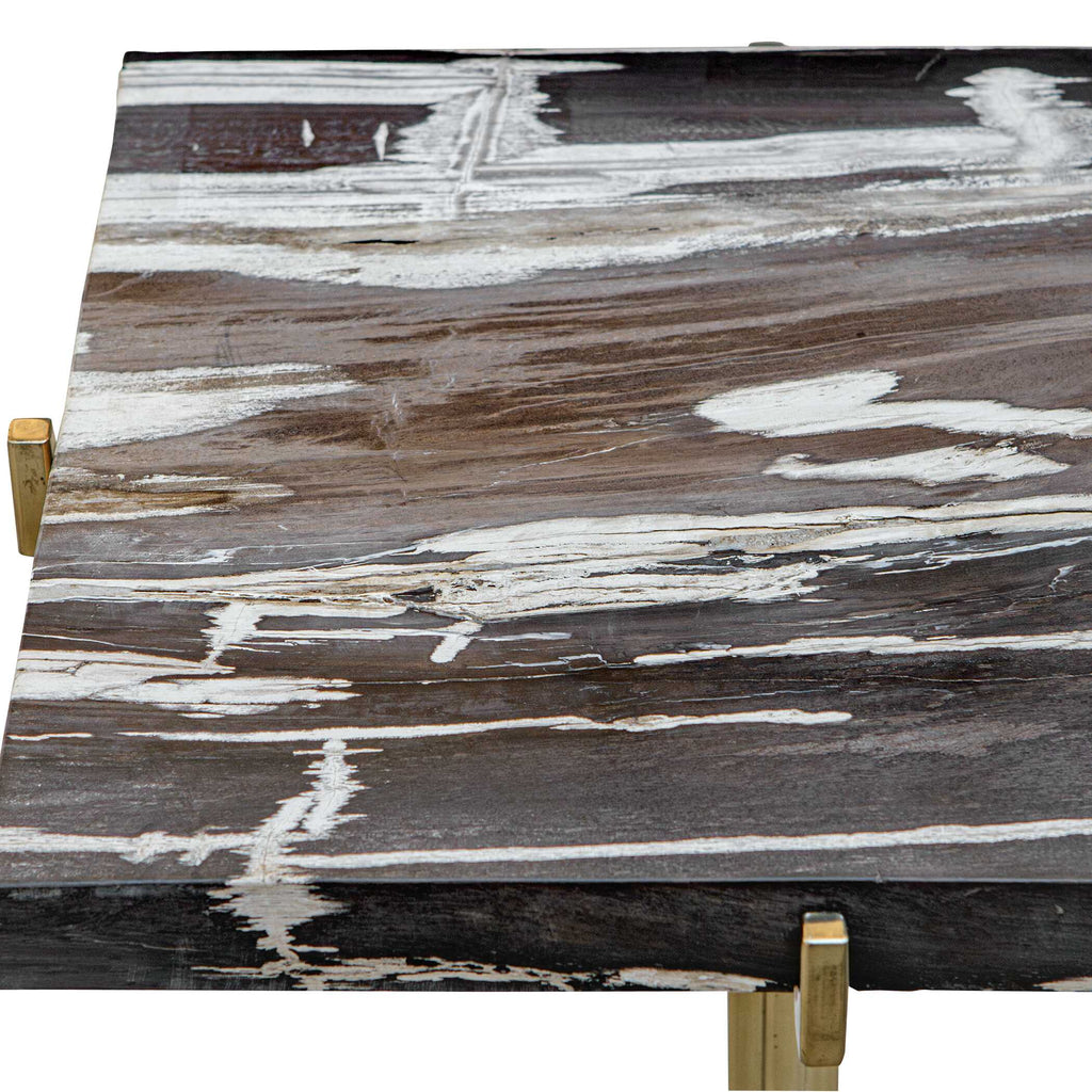 Rowman Petrified Wood Accent Table