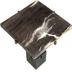 Rowman Petrified Wood Accent Table