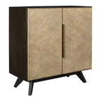Reina Modern 2 Door Cabinet