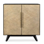 Reina Modern 2 Door Cabinet