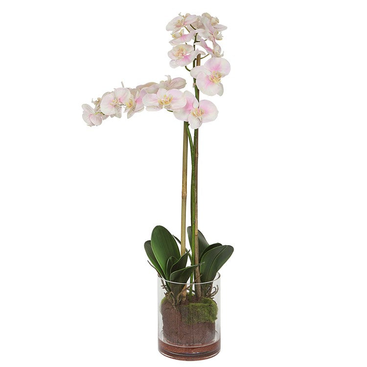 Blush Orchid Floral
